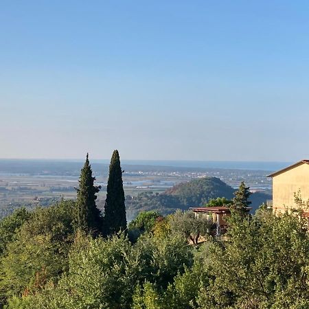 Гостьовий будинок La Casina Delle Rondini Corsanico-Bargecchia Екстер'єр фото