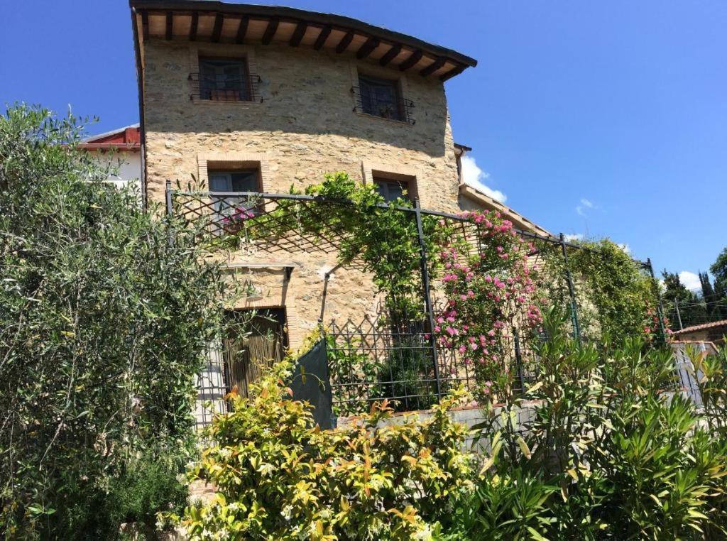 Гостьовий будинок La Casina Delle Rondini Corsanico-Bargecchia Екстер'єр фото